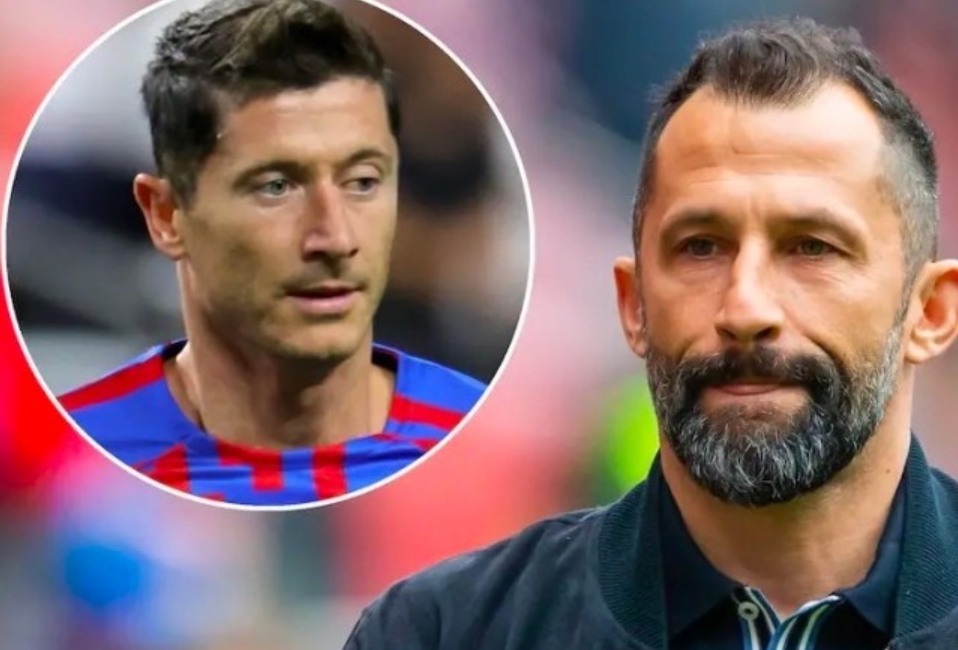 球迷与球队 球迷与球队