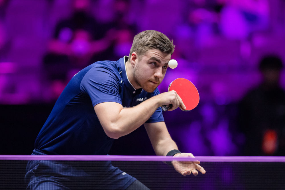 忠实球迷 忠实球迷