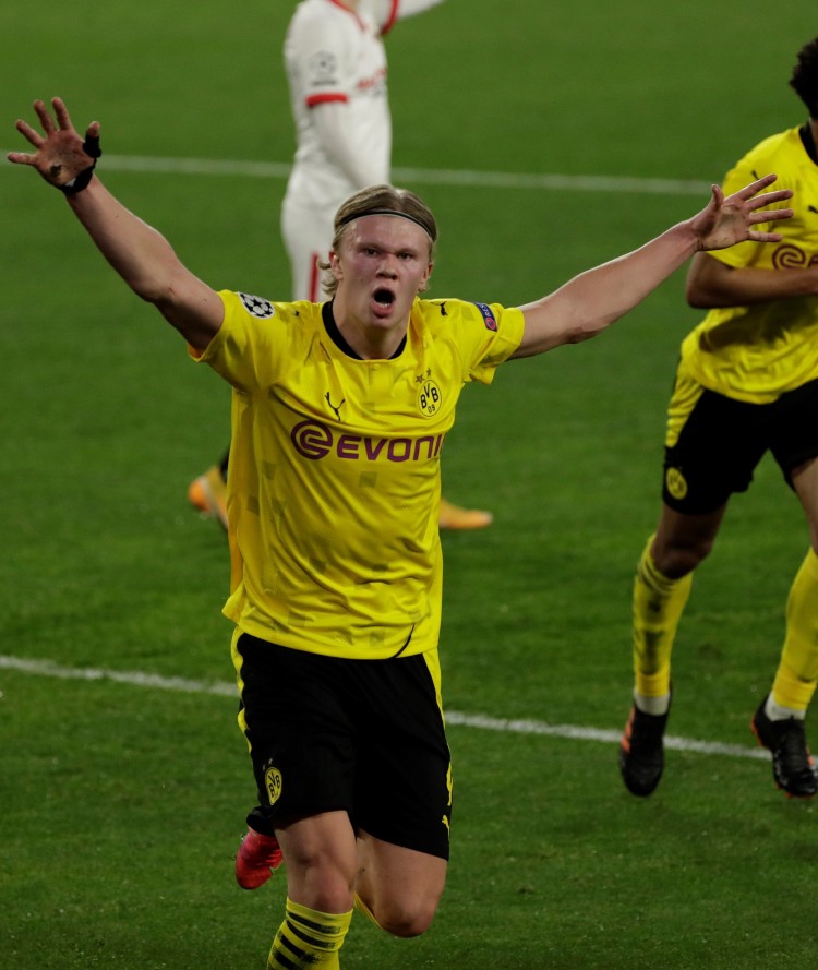 他回应自己 他回应自己