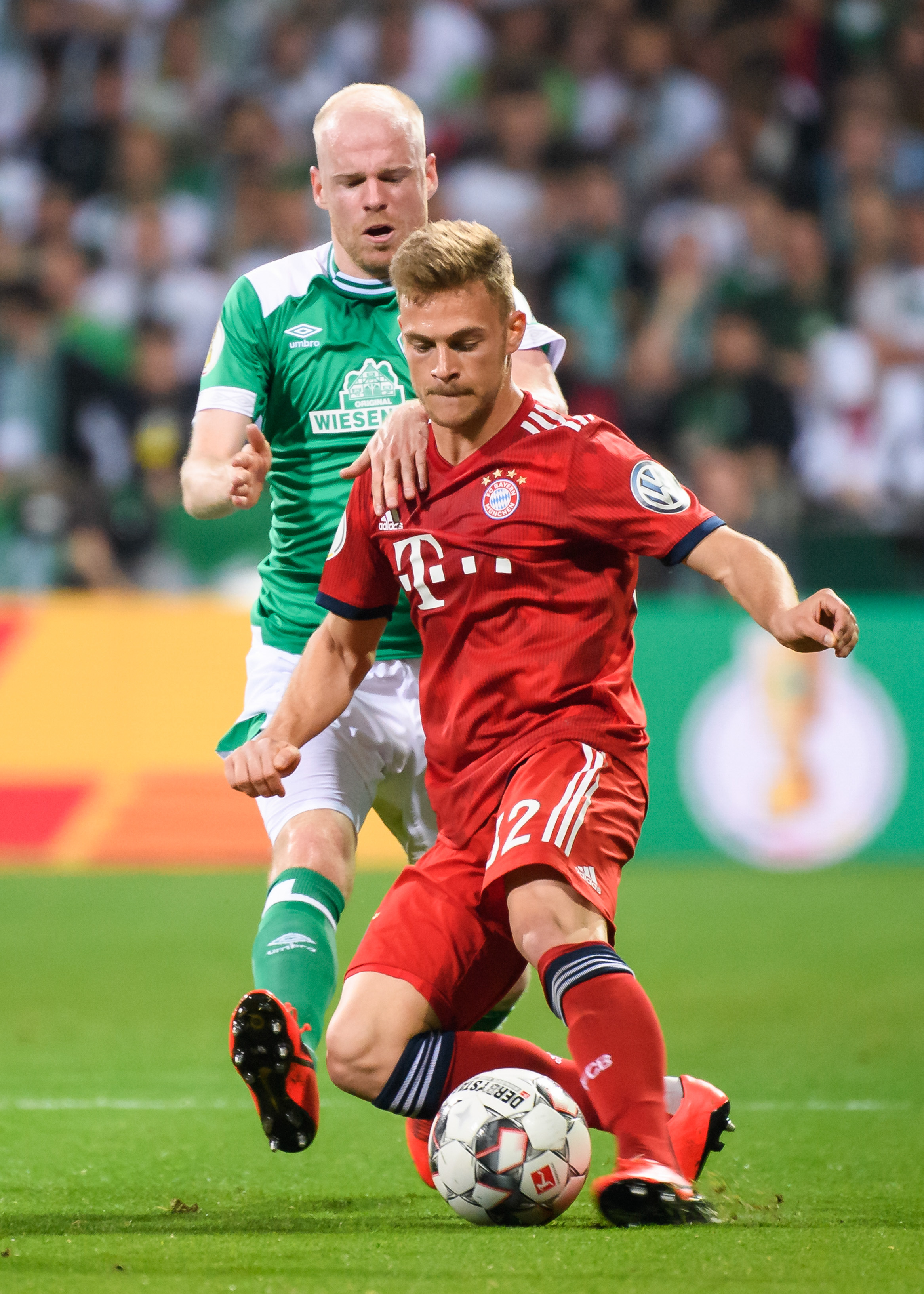 代表着两种 代表着两种