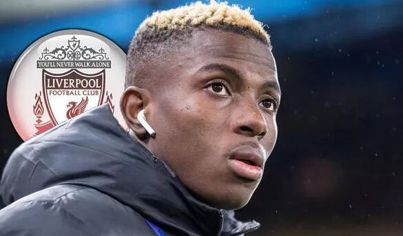 建立打者视 建立打者视